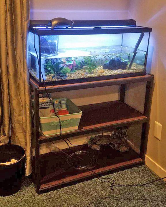2021 fish tank stand